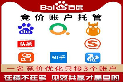 揭秘SEM竞价托管，案例展示效果